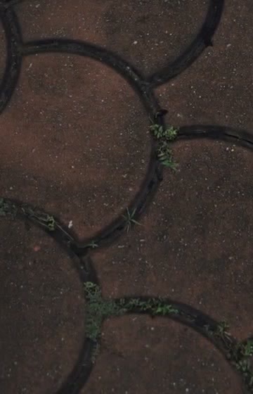 Before: Scalloped pavers — deep clean